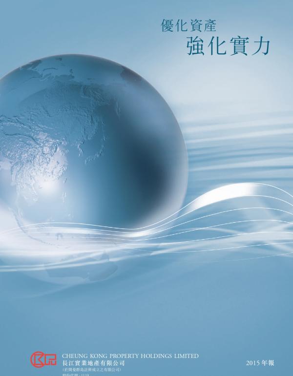 2015 全年业绩报告